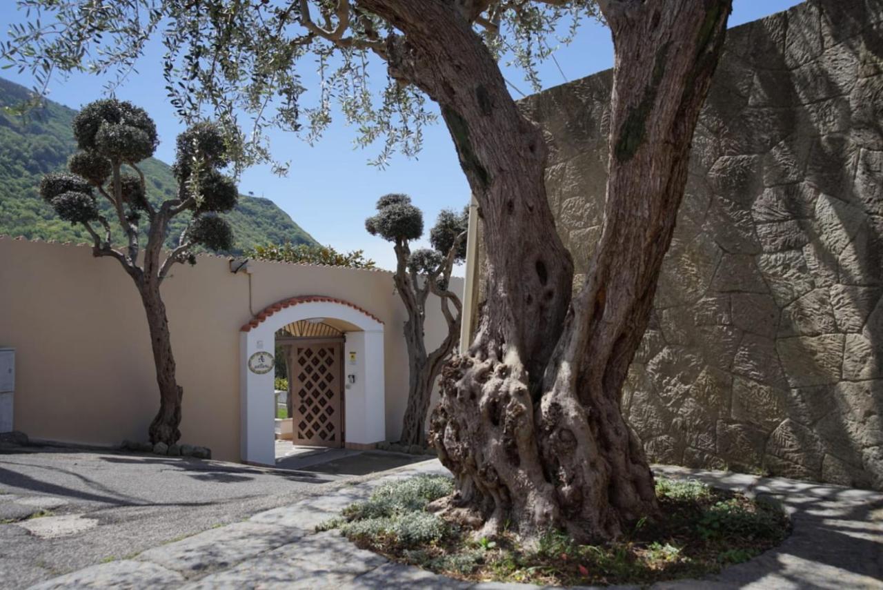 Villa Antonietta Иския Екстериор снимка