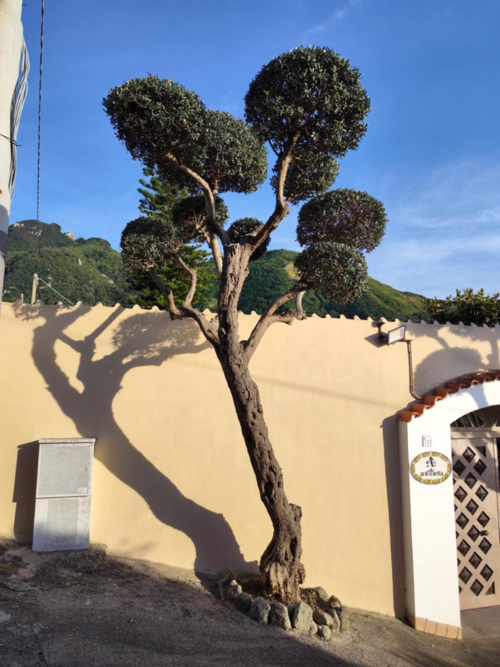 Villa Antonietta Иския Екстериор снимка