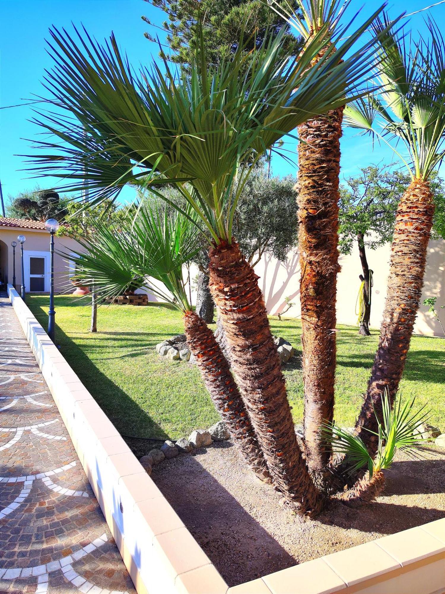 Villa Antonietta Иския Екстериор снимка